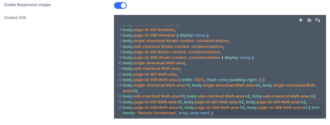 Divi Theme Options Custom CSS field on WP Build Notes; existing site CSS visible.